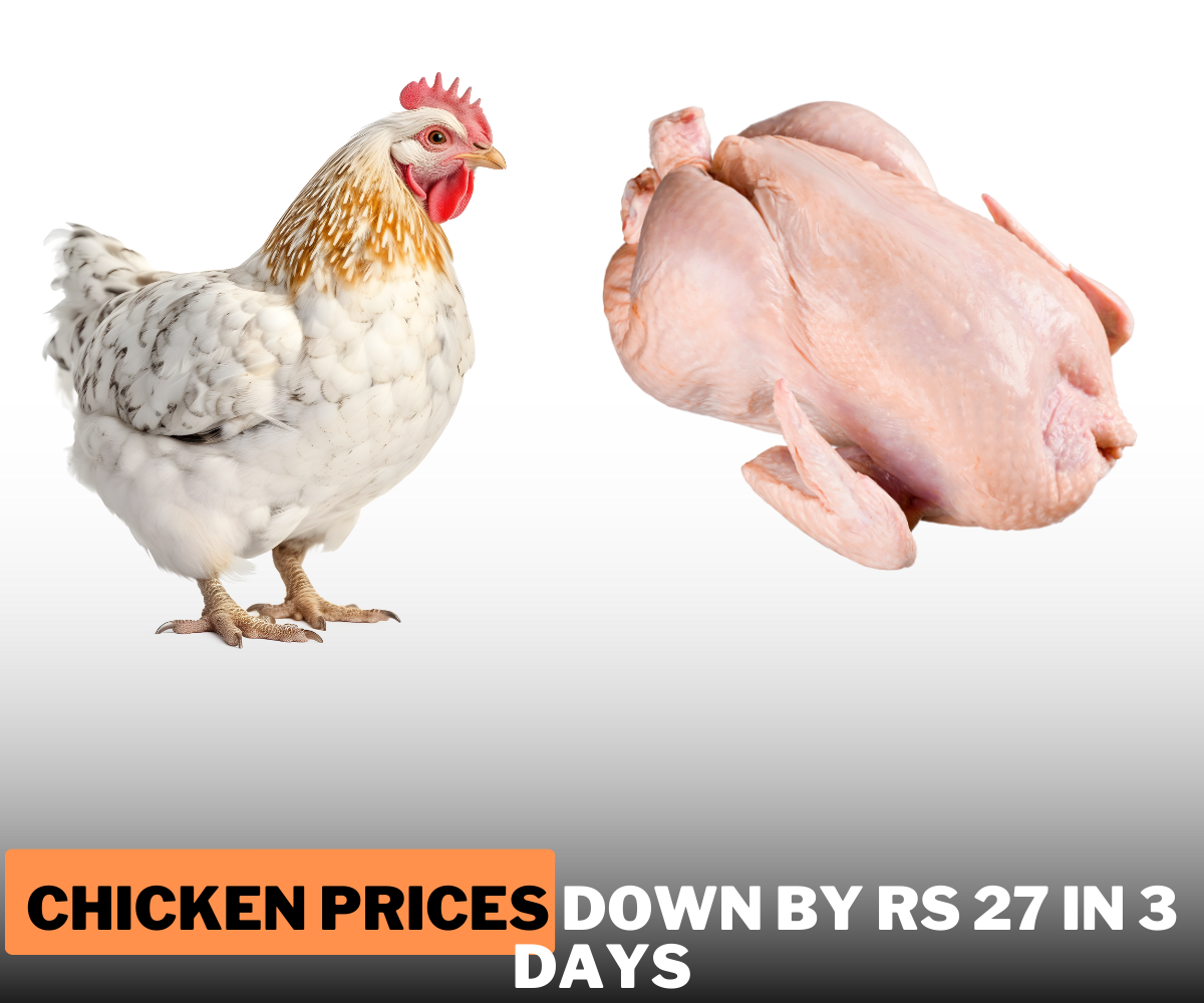 Chicken Prices Down by Rs 27 in 3 Days: Good News for Consumers