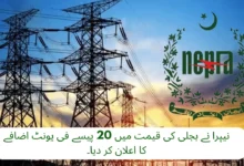 NEPRA Announces 20-Paise Increase in Electricity Rates