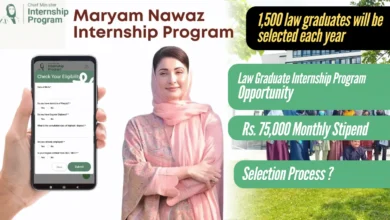 Punjab Chief Minister Maryam Nawaz Sharif has Announces Internship Program for Law Graduates